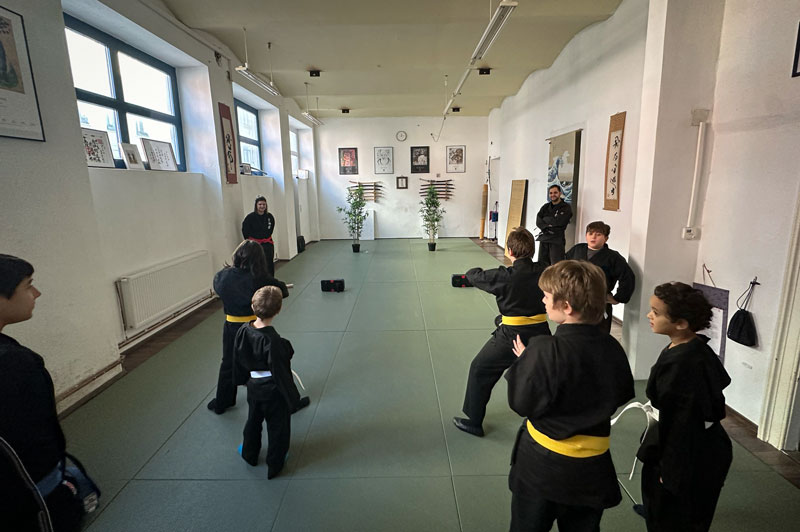 Ninja Kids Training Parkour - Shuriken